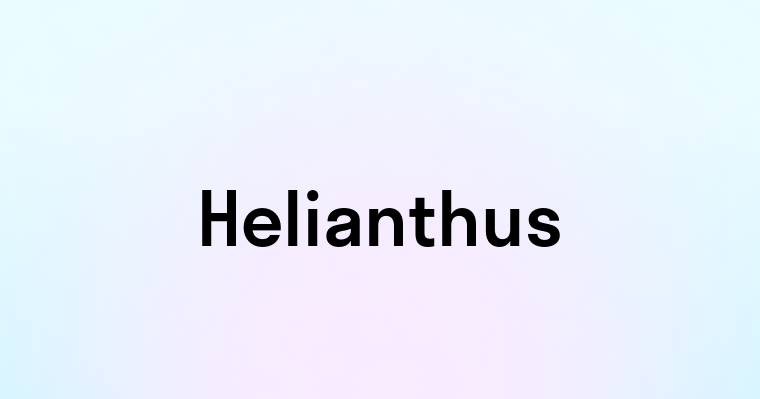 Helianthus