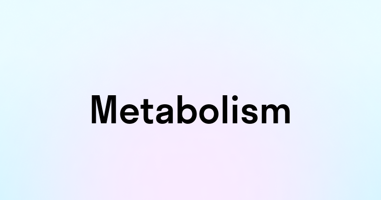 Metabolism