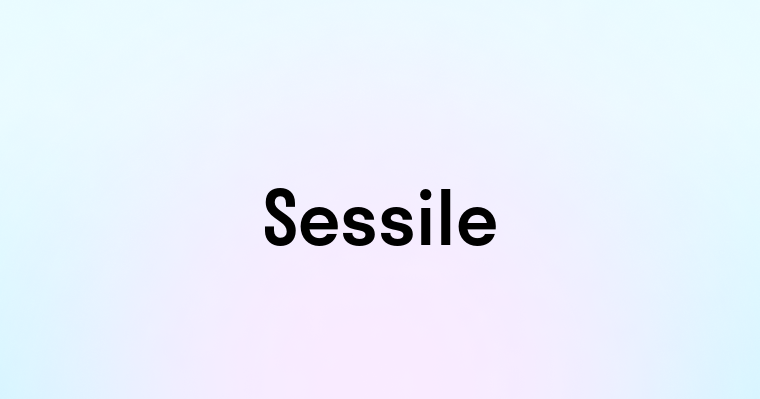 Sessile