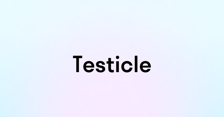 Testicle