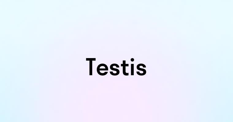 Testis