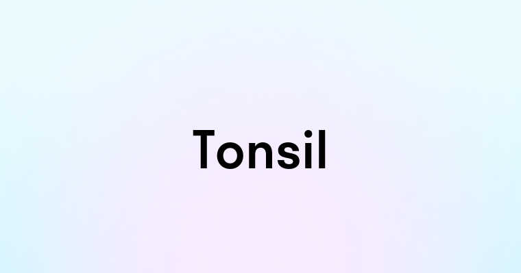 Tonsil