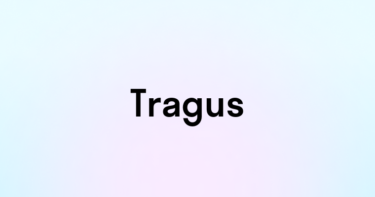 Tragus