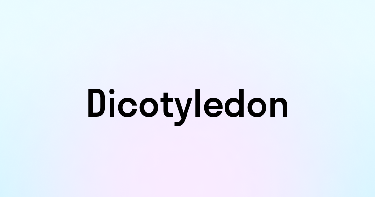 Dicotyledon