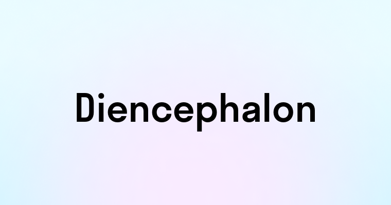 Diencephalon