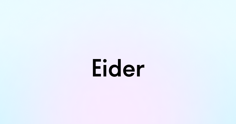 Eider