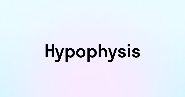 Hypophysis