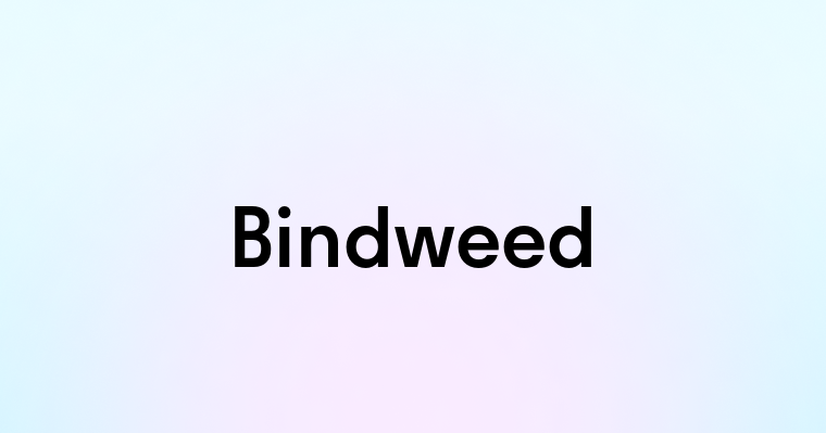 Bindweed