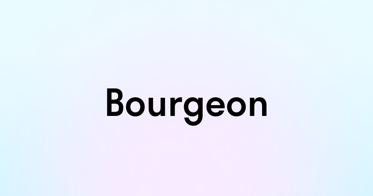 Bourgeon