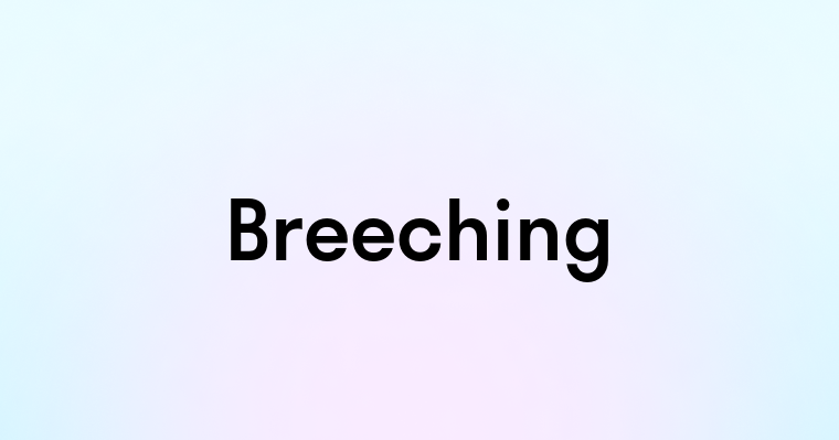 Breeching