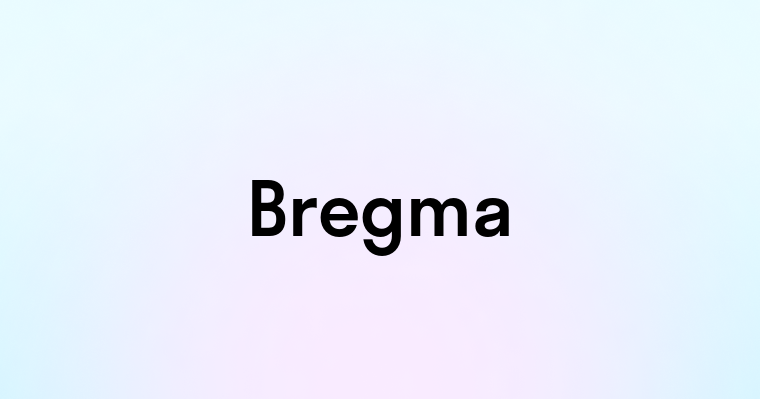 Bregma