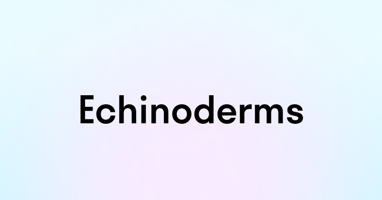 Echinoderms