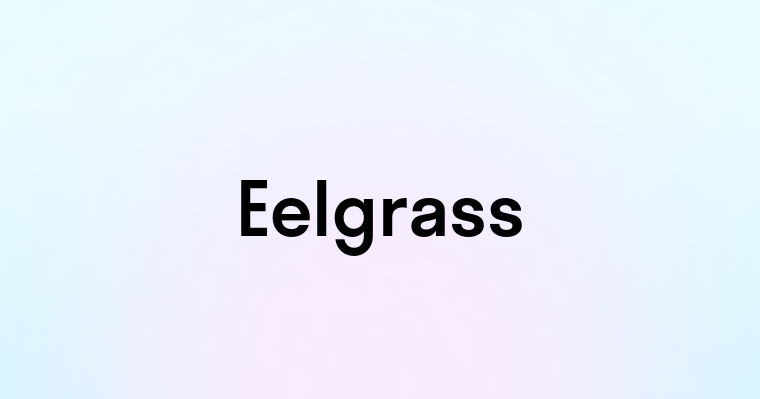 Eelgrass