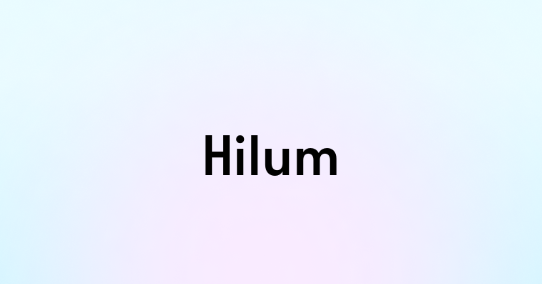 Hilum