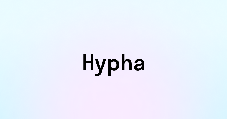 Hypha