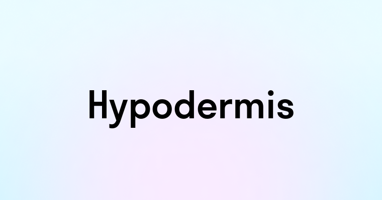 Hypodermis