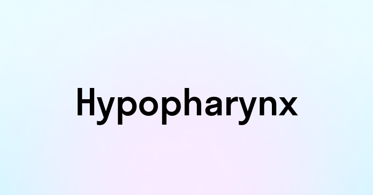 Hypopharynx