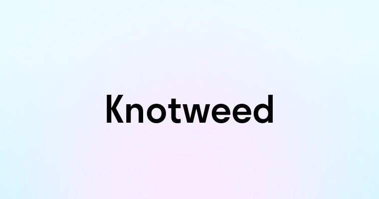 Knotweed