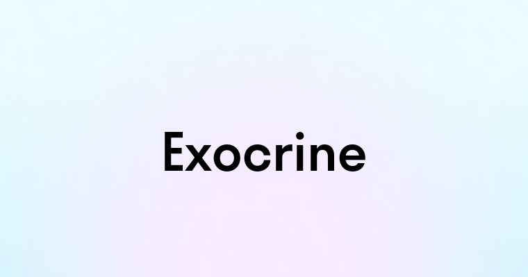 Exocrine