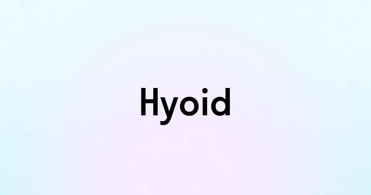 Hyoid