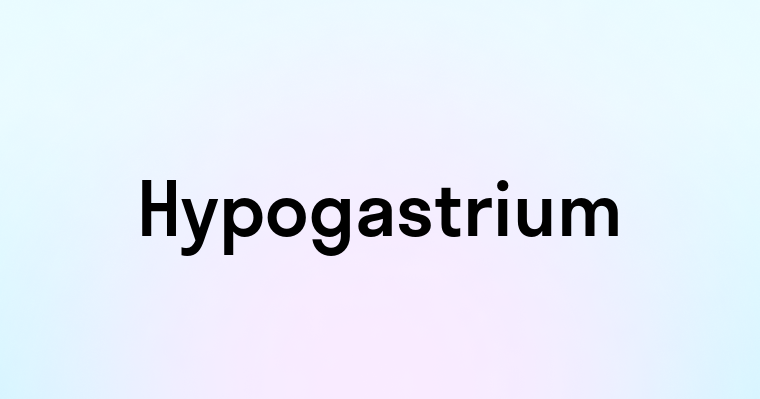 Hypogastrium