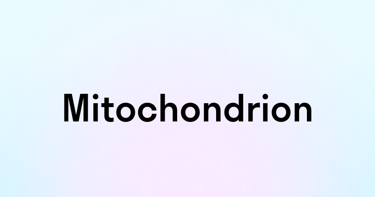 Mitochondrion