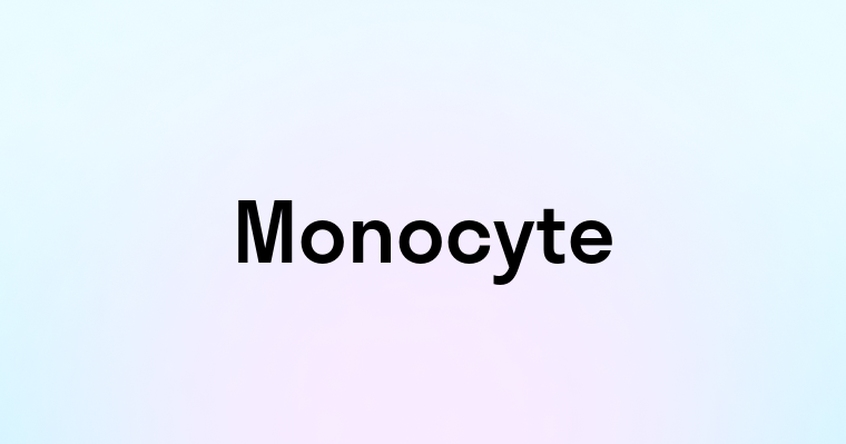 Monocyte