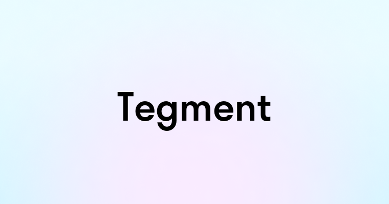 Tegment