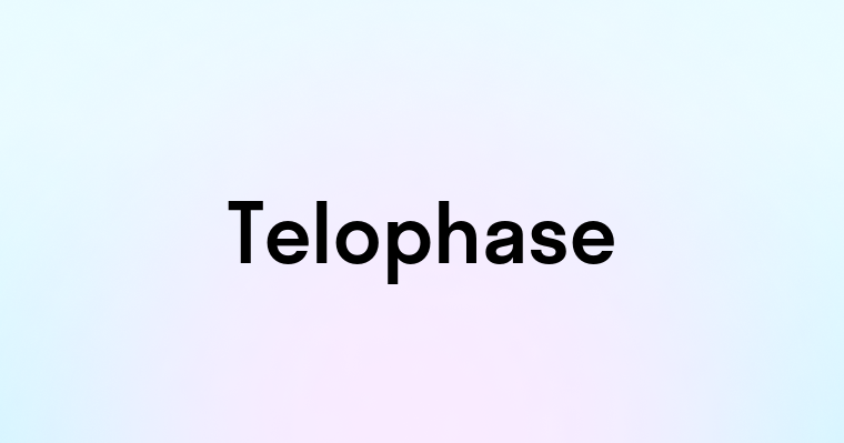 Telophase