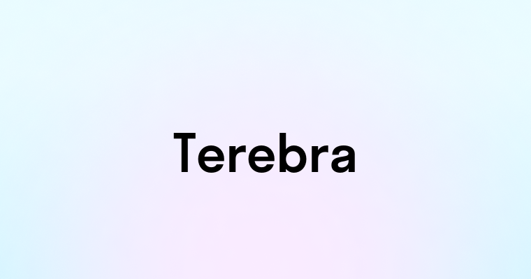 Terebra