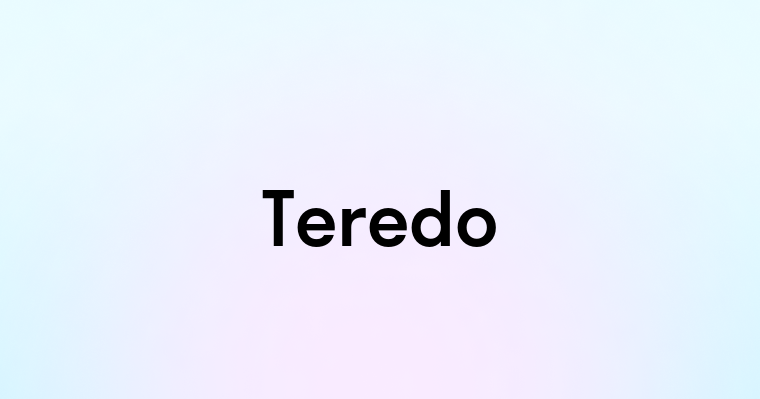 Teredo