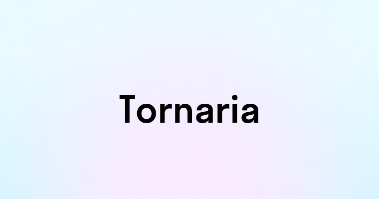 Tornaria