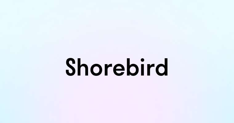 Shorebird