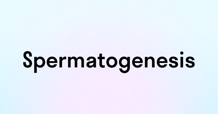 Spermatogenesis