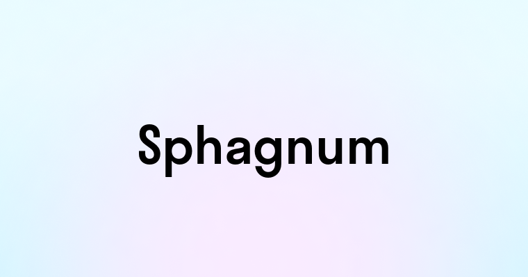 Sphagnum