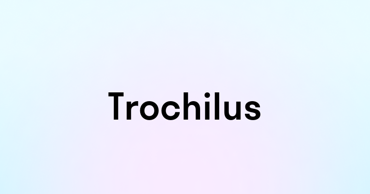 Trochilus