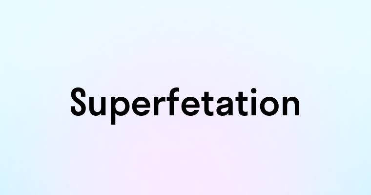 Superfetation