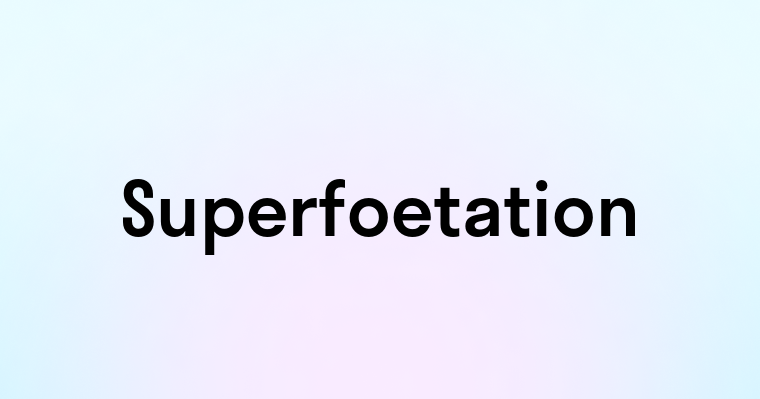 Superfoetation