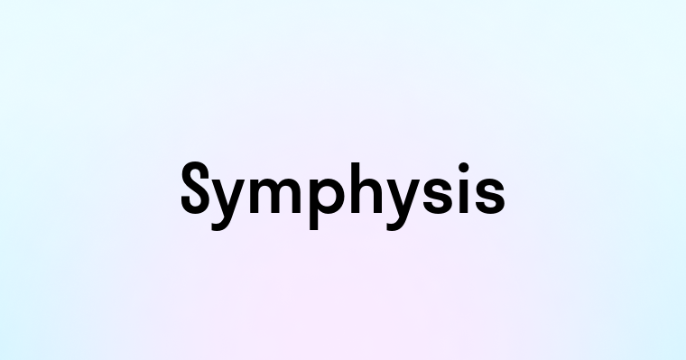 Symphysis