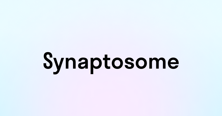 Synaptosome