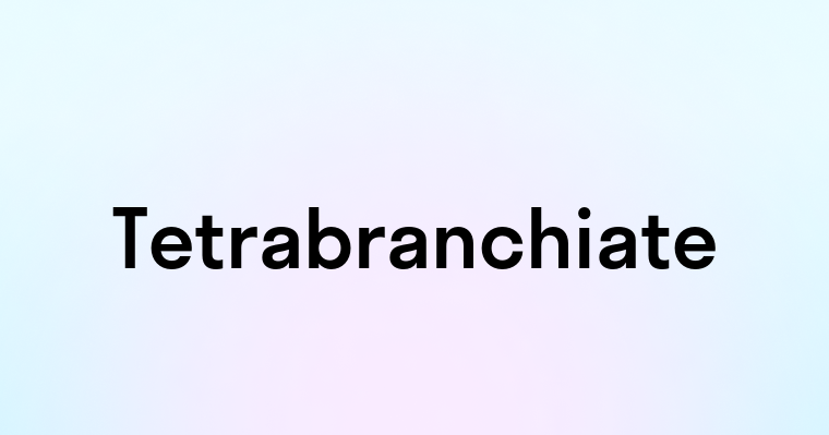 Tetrabranchiate