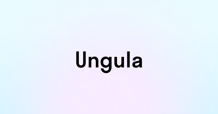 Ungula