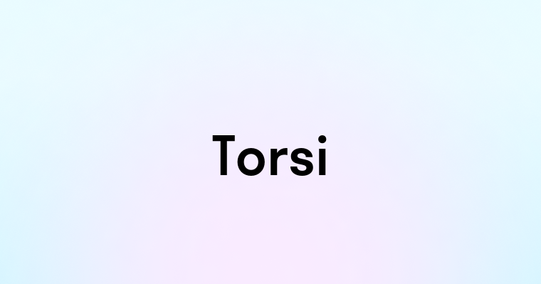 Torsi