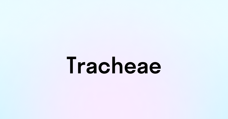 Tracheae