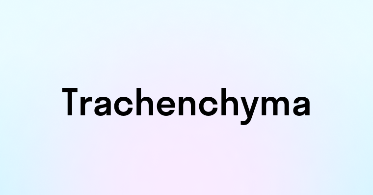 Trachenchyma