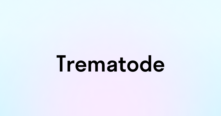 Trematode