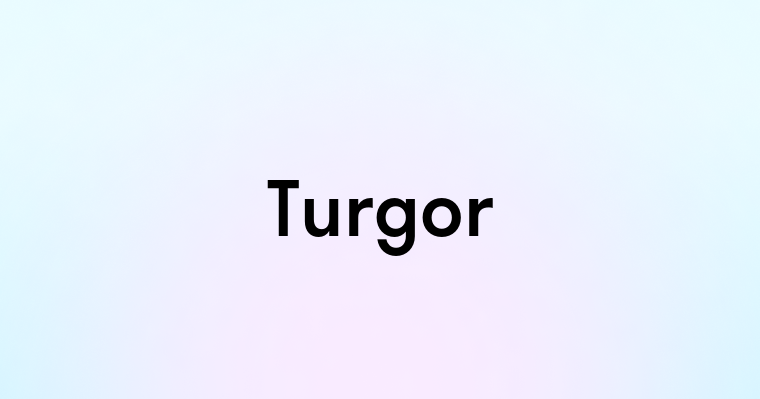 Turgor