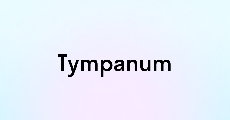 Tympanum