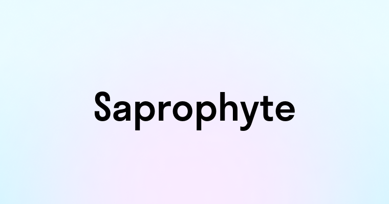 Saprophyte