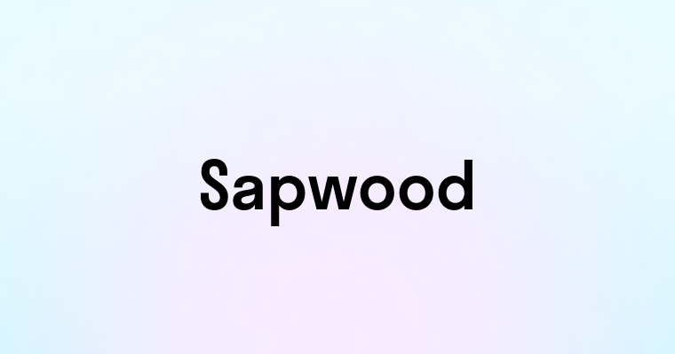 Sapwood